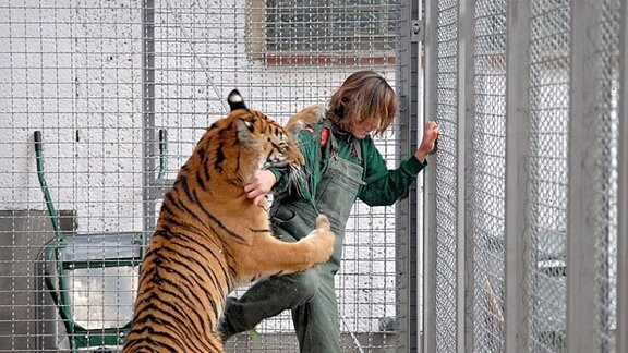 Tierpflegerin Ramona Meinert (Ramona Althoff) wird von Tiger Tarik angefallen.