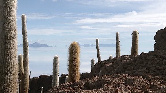 Screenshot aus Traumtouren durch Bolivien - Biwak nonstop