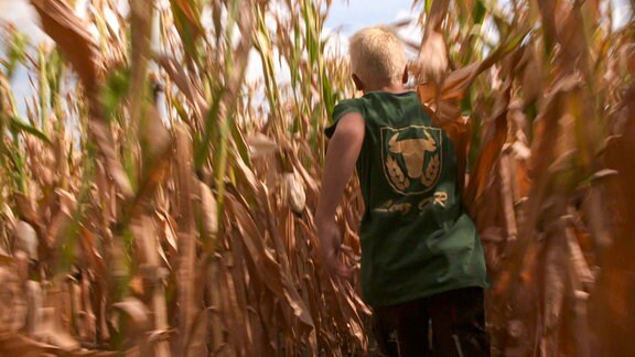 Ein Junge in einem grünen T-Shirt läuft durch ein Maisfeld