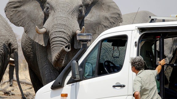 Tierfilmer Jens Westphalen beim Einsteigen in das Auto, vor ihm ein großer Elefant