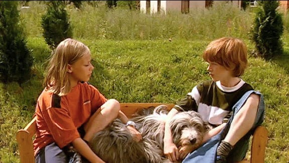 Gemeinsam sitzen Johnny und Felix mit Hund Rollo auf einer Gartenbank. Beide haben den Steit zwischen ihren Eltern satt.