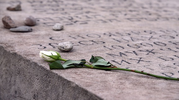 Eine weiße Rose liegt auf einem Gedenkstein bei der Gedenkveranstaltung zur Erinnerung an die Opfer der Pogromnacht von 1938. 