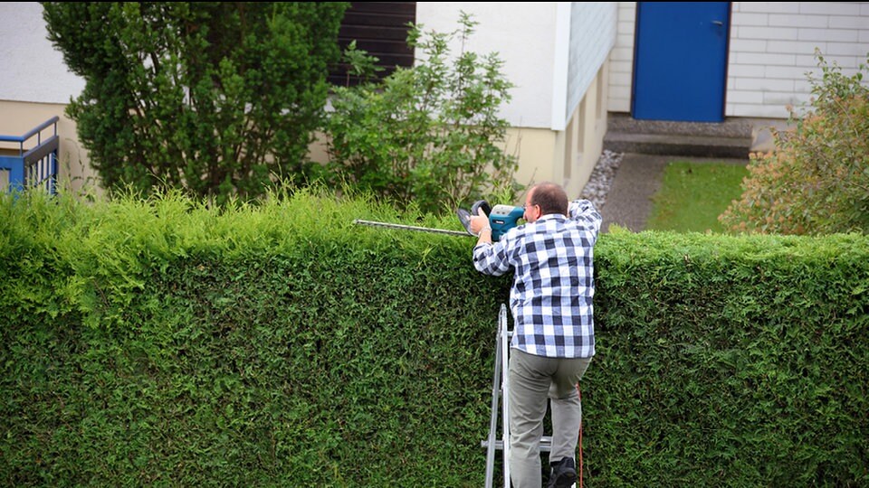 Heygendorf im Kyffhäuserkreis MDR.DE