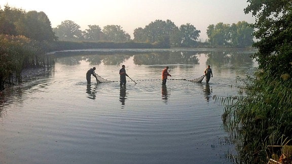 In der Morgendämmerung stehen Fischer mit Zugnetzen in einem Teich.