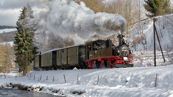 Preßnitztalbahn vor dem Haltepunkt Wildbach im Winter.