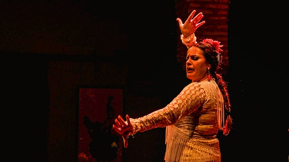 Flamenco Tänzerin