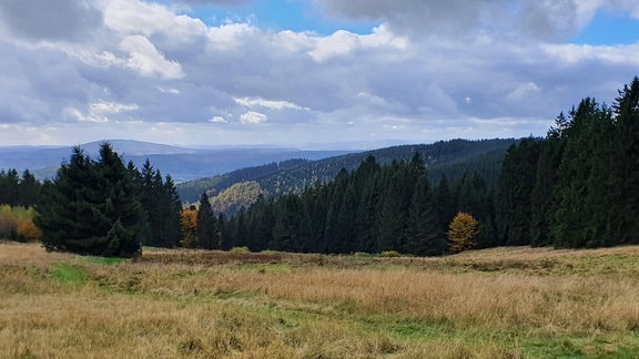 Malerisch ist der Ausblick auf den Thüringer Wald.