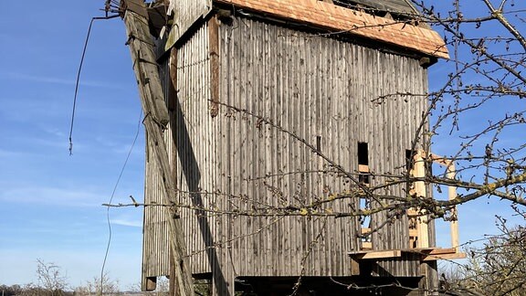 Die Bockwindmühle am Dorfrand - das Wahrzeichen von Leimbach. 1818 wurde sie als Getreidemühle gebaut, arbeitete und drohte zu verfallen. Jetzt wird sie wieder aufgebaut.