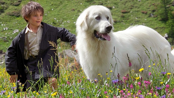 Sebastian (Félix Bossuet) neben dem Pyrenäenhund Belle auf einer Bergwiese.