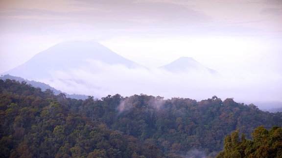 Virunga Vulkanberge