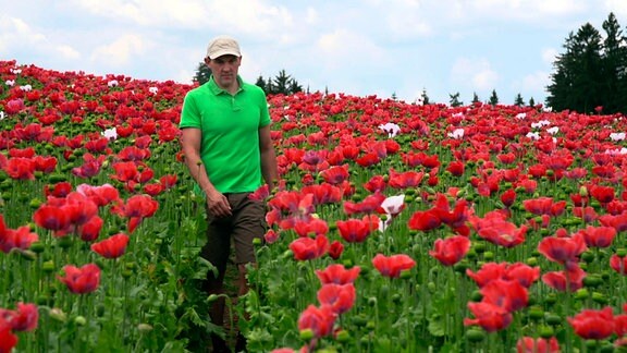Markus Weinmann schaut während der dreiwöchigen Blüte täglich nach seinem Mohn.