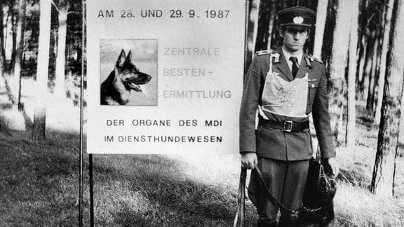 In der Zentralen Schule für Diensthundwesen wurden in der DDR-Zeit vor allem Schutz- und Fährtenhunde ausgebildet