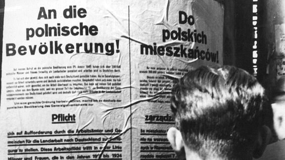 Ein Mann liest ein NS-Plakat über Pflicht-Arbeiten für polnische Bürger.