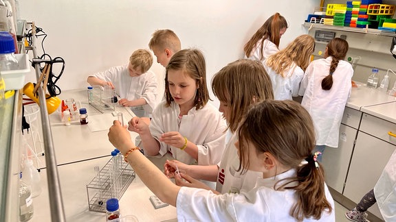 Um bereits Kinder für Naturwissenschaft zu begeistert betreibt ein gemeinnütziger Verein im Dorf ein Schülerlabor. Schulklassen kommen von weit her, um zu experimentieren. 