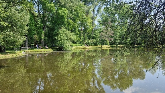 Ihre Angelidylle am Dorfrand haben sich die Angler in den 60er Jahren selbst erschaffen. Der Teich gilt als "launisch".