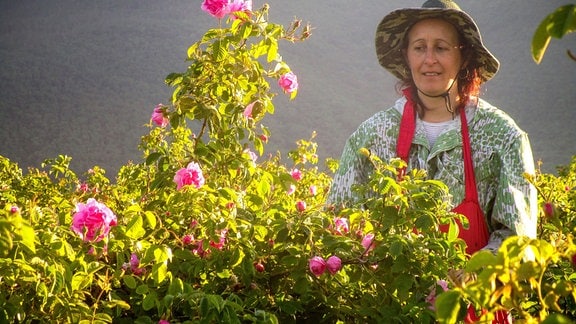 Radka Stevanova ist als Pflückerin im bulgarischen Tal der Rosen beschäftigt.