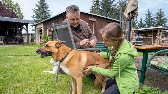 Hausbesuch in Glashütte (Landkreis Sächsische Schweiz-Osterzgebirge): Tierärztin Julia Nestler untersucht den Hund Bumper von Besitzer Michael Bula