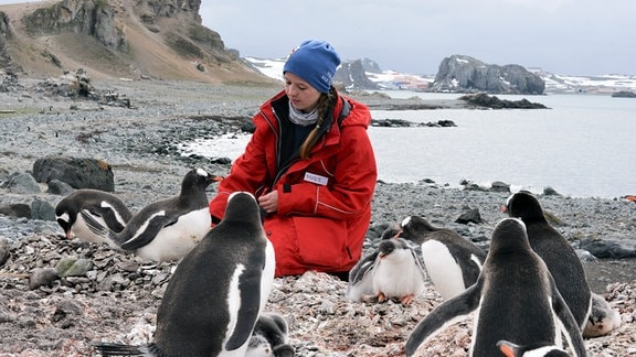 Auch deutsche Forscher sind in jedem antarktischen Sommer auf King George Island. Marie-Charlott Rümmler bei einem wissenschaftlichen Experiment auf der Insel der Pinguine.