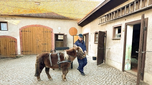 Roland Tschitschmann wollte schon als Kind ein Pony. Mit 22 Jahren konnte er sich seinen Traum erfüllen. Jetzt kann er auf 50 Jahre Zucht zurückblicken. 