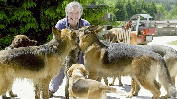 Hans Hader (Herbert Fux) mit vielen Hunden.