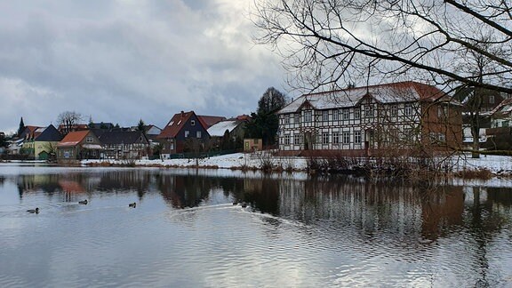 Stiege ist eine Gemeinde im Oberharz, nordwestlich des Selketals gelegen zwischen Hasselfelde und Güntersberge. Den kleinen See haben die Enten dieses Jahr für sich allein. An Schlittschuhfahren ist bei diesem milden Winter nicht zu denken.