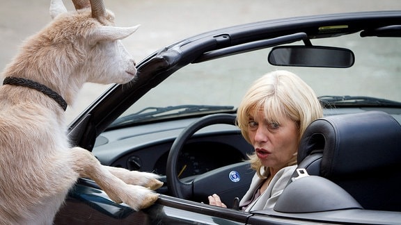 Isa von Brede (Sabine Postel) vertritt Landwirt Lippert. Bei einem Besuch auf seinem Bauernhof wird sie von einer Ziege attackiert.