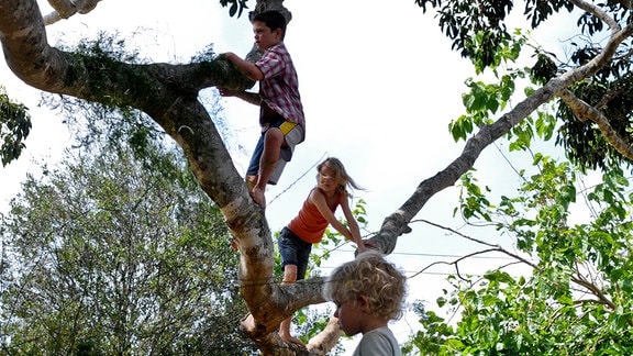 Die Kinder Simone (Morgana Davies, Mitte), Lou (Tom Russell) und Charlie (Gabriel Gotting, re. unten) und ihr Lieblingsspielplatz: der Baum