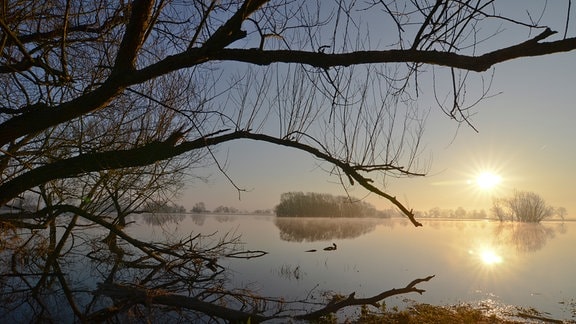 Sonnenaufgang am Bölsdorfer Haken bei Tangermünde