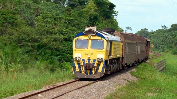 Ein gelber Zug fährt durch den Dschungel.
