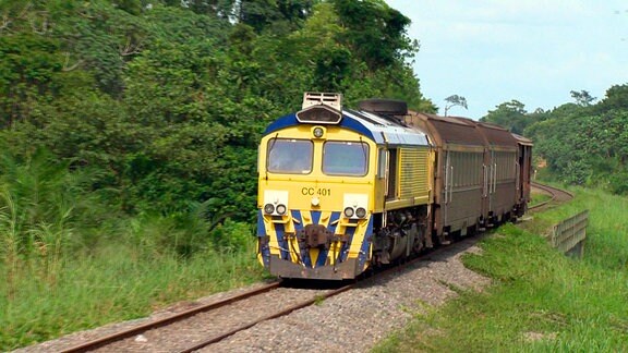 Ein gelber Zug fährt durch den Dschungel.