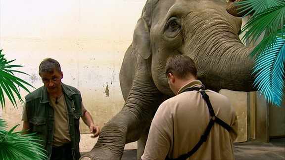 Ein Elefant und zwei Tierpfleger.