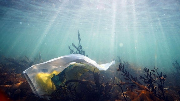 Plastikmüll liegt auf dem Meeresboden