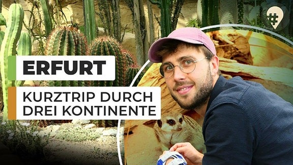 #hinreisend: Erfurt – Kurztrip durch drei Kontinente