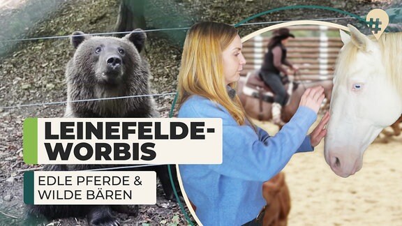 #hinreisend: Edle Pferde & Wilde Bären in Leinefelde Worbis