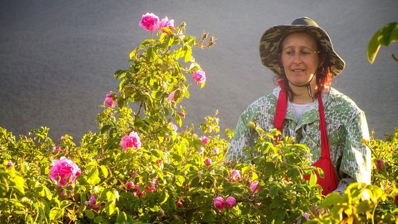 Radka Stevanova ist als Pflückerin im bulgarischen Tal der Rosen beschäftigt.