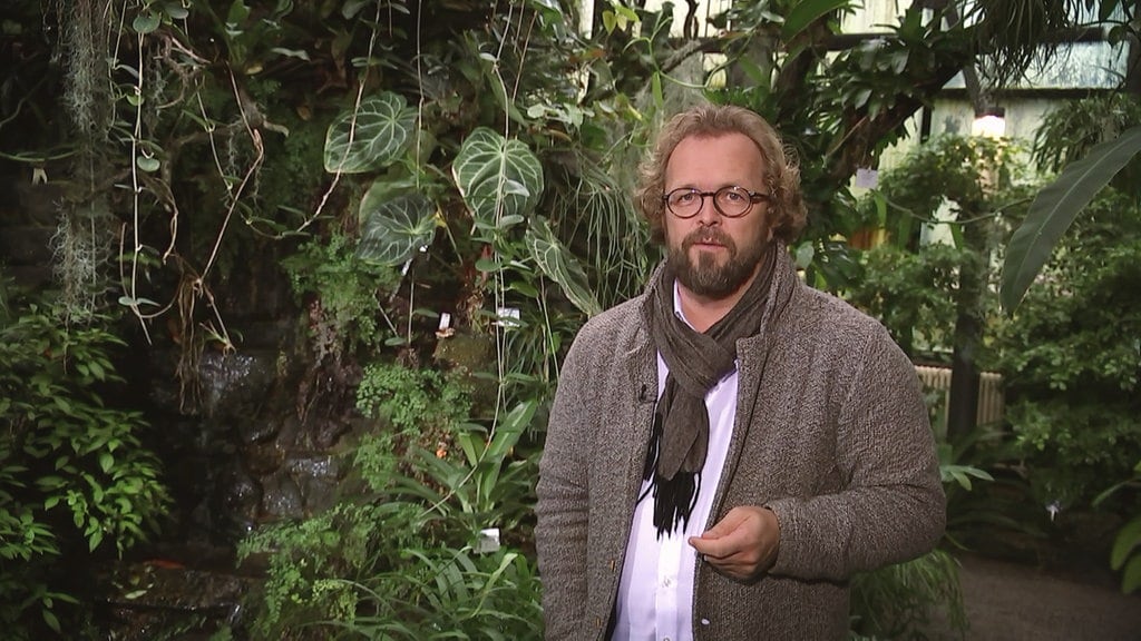 Fernsehen Im Garten / Tv Tipp Der Grosse Garten Fernsehen