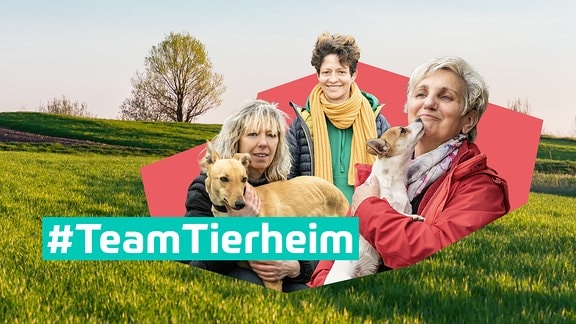 #TeamTierheim (Sendereihenbild)