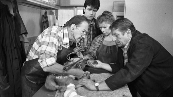 Tierparkgeschichten (1): Neuzugänge. 1989. Herbert Köfer (Dr. Mehl), Karsten Speck (Henning), Renate Reinecke (Claudia Herzberg) und Erik S. Klein (Wolfgang Mattke) 