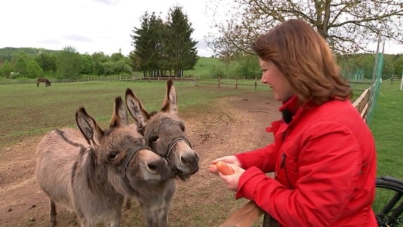 Steffi Peltzer-Büssow füttert zwei Esel