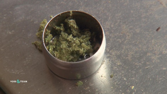 Cannabis