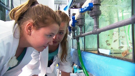 Zwei junge Frauen beobachten Fische in einem Aquarium.