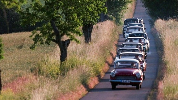 Eine Reihe Autos fährt auf einer schmalen Straße durch eine sommerliche Landschaft.