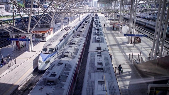 einfahrender Zug in eine koreanische Bahnhofshalle