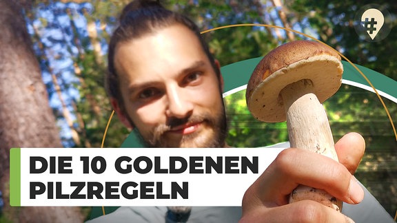 #hinREISEND: Die 10 goldenen Pilzregeln