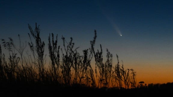 Ein Komet am Abendhimmel