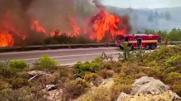 Feuerwehr vor brennender Waldfläche