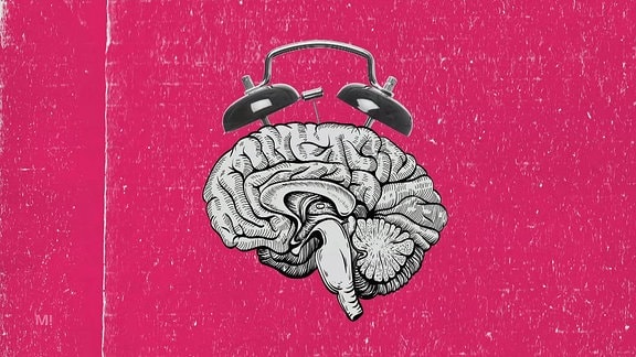 Grafische Abbildung eines Gehirns mir darüber montierten Klingelschalen eines analogen Weckers.