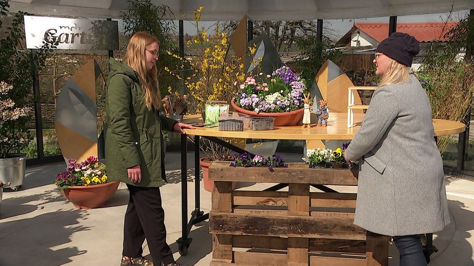 MDR Garten MDR.DE
