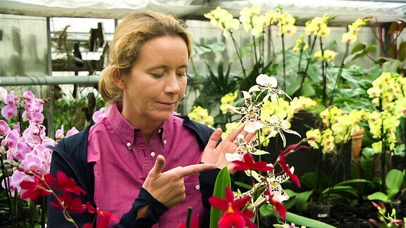 Frau zeigt mit Finger auf eine Orchide