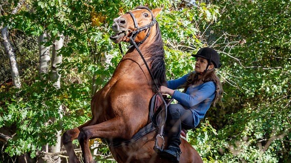 Eine Frau auf dem Rücken eines Pferdes, das sich aufbäumt.